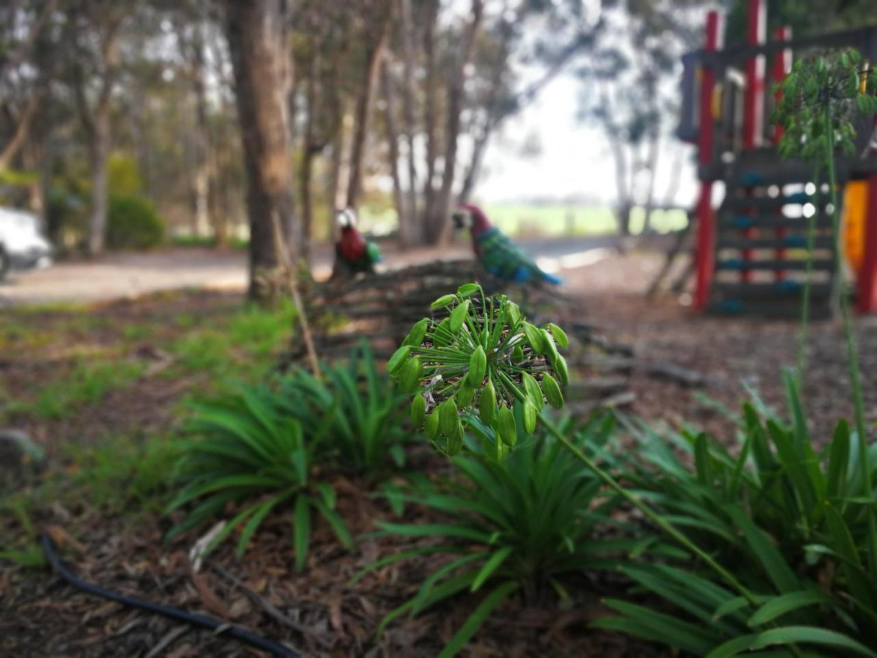 Kalimna Woods cabañas Lakes Entrance Exterior foto