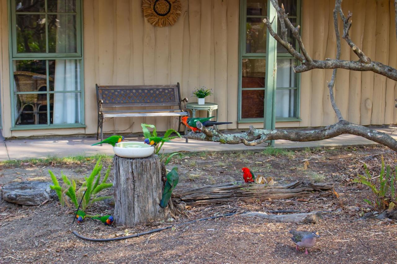 Kalimna Woods cabañas Lakes Entrance Exterior foto