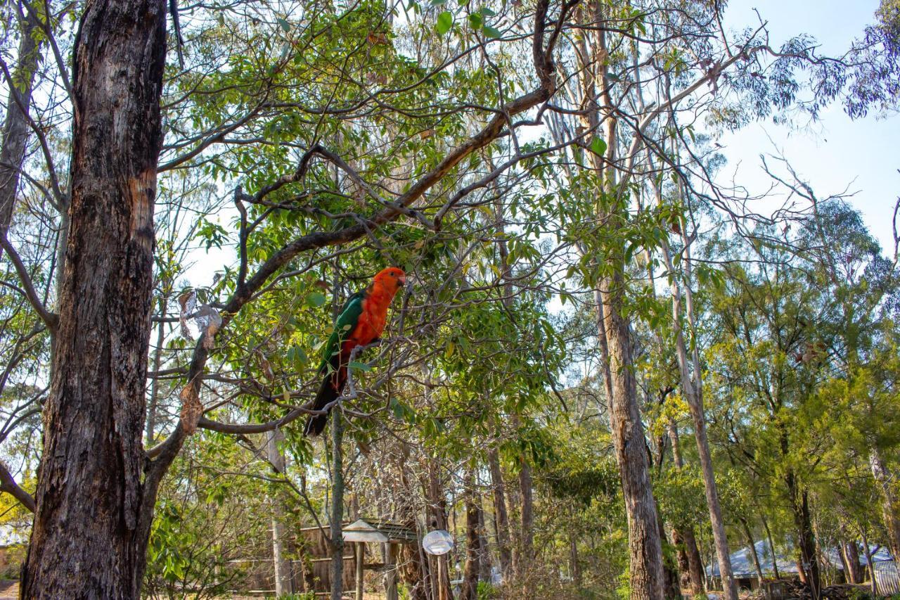 Kalimna Woods cabañas Lakes Entrance Exterior foto